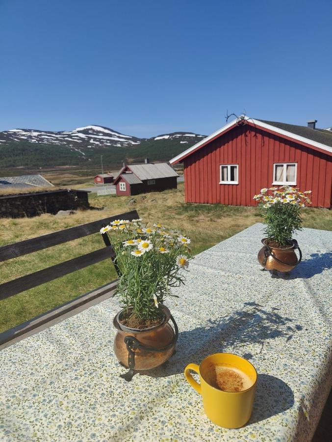Kyrkjestolen B&B Tyinkrysset Екстер'єр фото